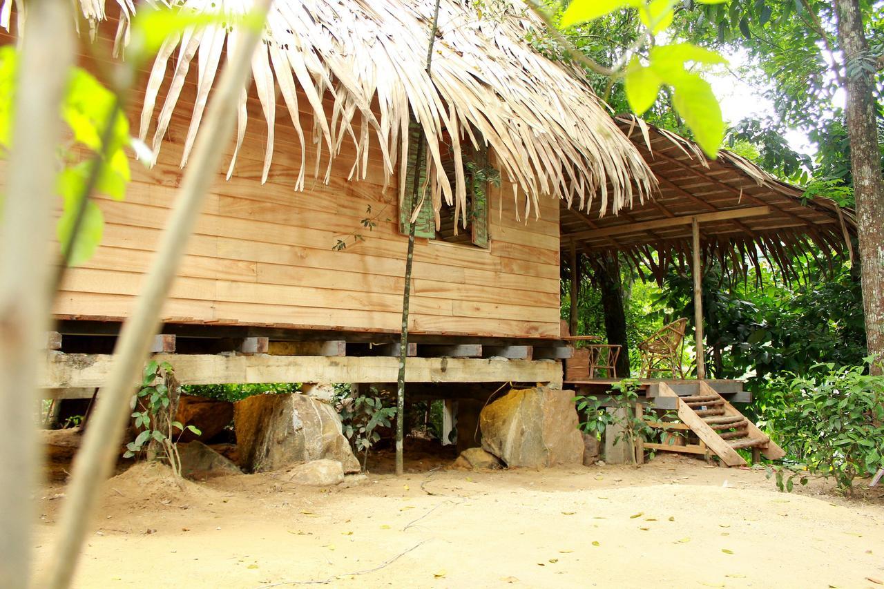 Bedda Eco Cottages Deniyaya Extérieur photo