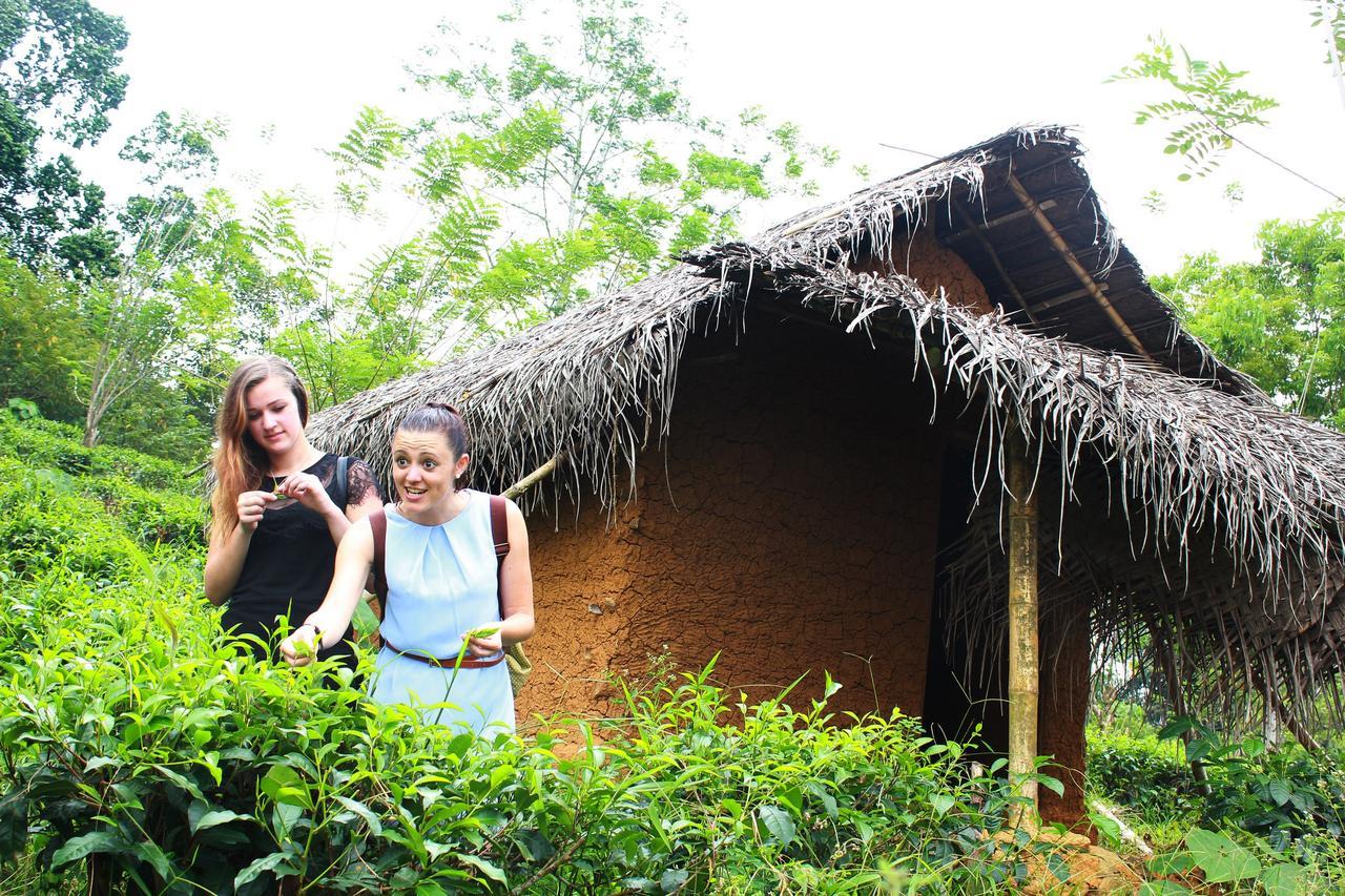 Bedda Eco Cottages Deniyaya Extérieur photo