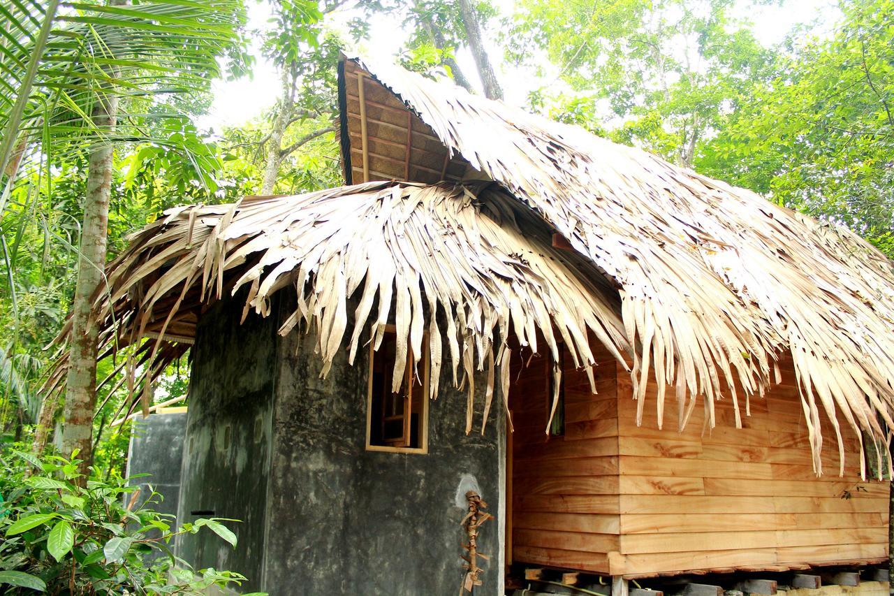 Bedda Eco Cottages Deniyaya Extérieur photo