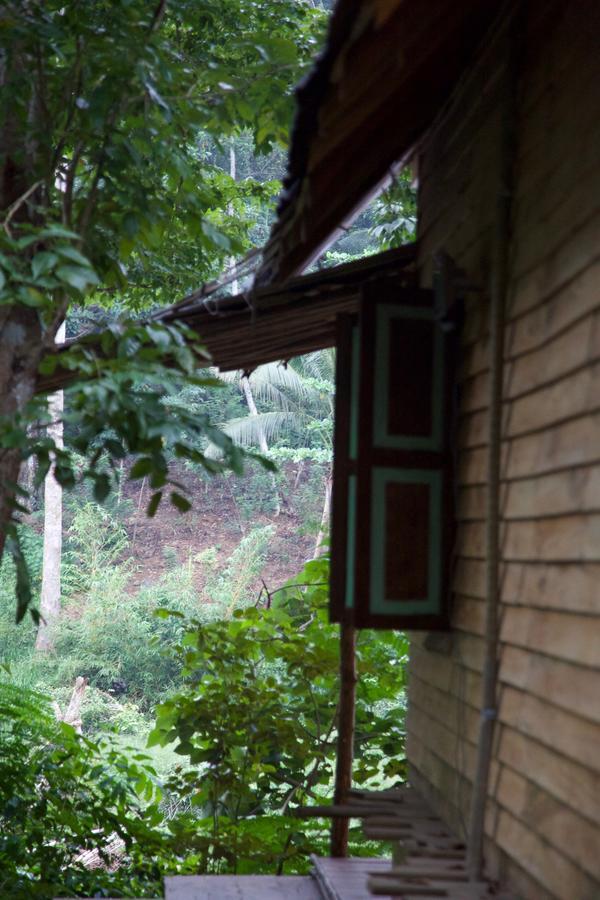 Bedda Eco Cottages Deniyaya Extérieur photo
