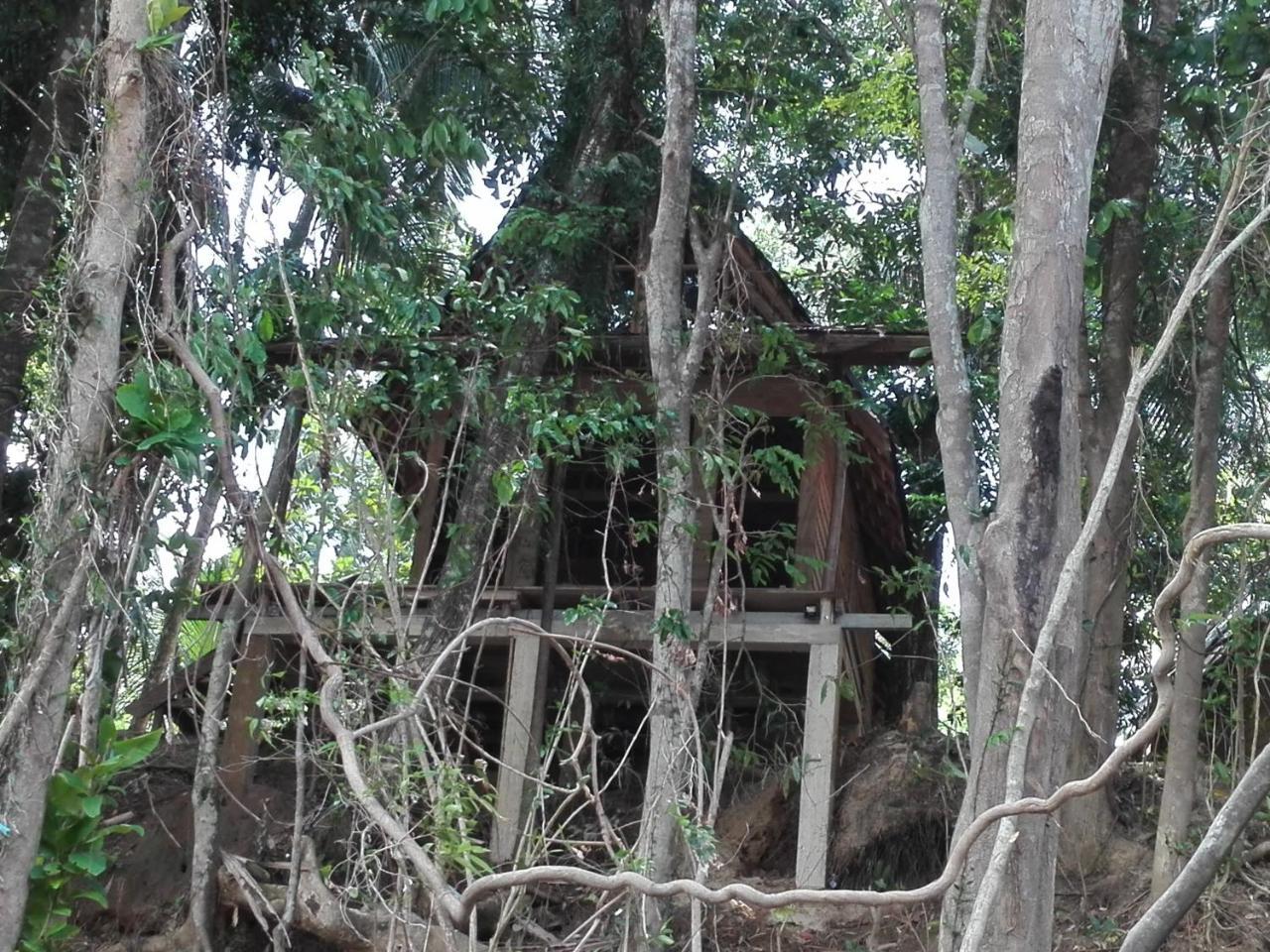 Bedda Eco Cottages Deniyaya Extérieur photo